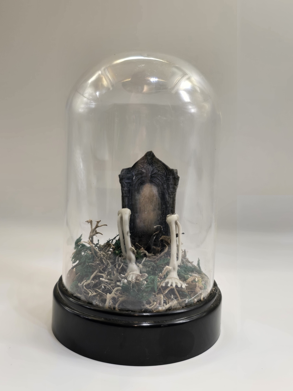 Decorative Terrarium with Bone Accent - Black Base